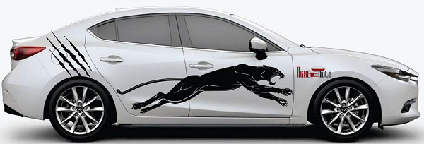 Tem sườn xe ô tô 4 chỗ màu trắng